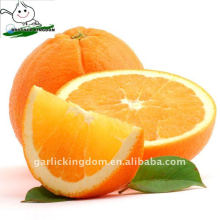 Gannan Fresh Navel Orange